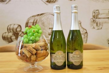如何代理宅男视频破解版生意才好呢